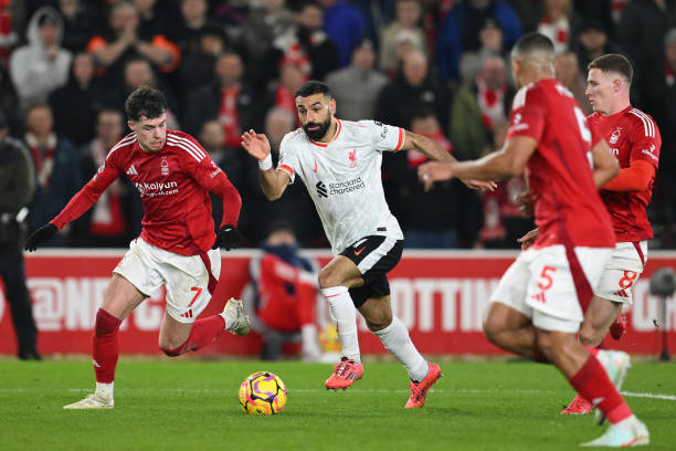 杯是世界上 杯是世界上